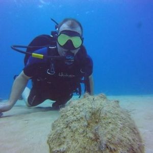 Meet your Posher, Bill